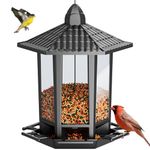 Birdream Hanging Bird Feeders, Retro Pagoda Design Fun Installation Squirrel Proof Bird Feeders, Attracting Wild Birds Chickadees Goldfinches Cardinals Finches and Sparrows - Black