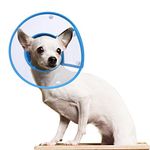 PETBABA Dog Cone Collar in Recovery, Clear Elizabethan Not Block Vision, Soft Padded E-Collar Protect Neck, Suitable Kitten Cat Puppy Pet in Surgery Remedy Grooming - M in Blue