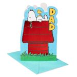 American Greetings Fathers Day Card for Dad (A Day To Relax)