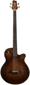 Sawtooth Rudy Sarzo Signature Fretless Acoustic-Electric Bass Guitar