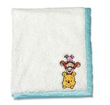 Disney Mink Baby Blanket