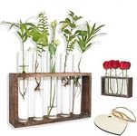 laffeya Hydroponic Plant Stand, Wall Plant Holder, with 5 Test Tube Vase Retro Solid Wooden Stand, Air Planter Test Tube Glass Vase Holder Wall Mounted Hanging Planter, Gifts for Plant Lovers