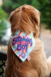 Lana Paws Adjustable Birthday Boy Dog Bandana/Scarf (S-M, Multi Color, 1 Piece)