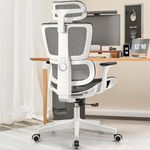 Ergonomic Office Chair Home Office Desk Chair with Lumbar Support Gaming Chair with Adjustable Headrest 4D Armrests Comfy Office Chair Big and Tall Mesh Office Chair (White)