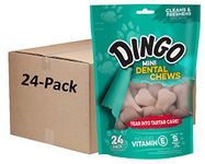 Dingo P-28006 576 Count Mini Dental-Treats, One Size