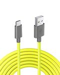 Ebuzz Dash USB Type C Cable, EBuzz USB C to USB A Charger Fast Charging Cord for Samsung Galaxy S10 S9 S8 Plus Note 9 8, Switch,Google Pixel 2 3 XL, Huawei, Moto Z, LG V30 V20 G6 G5, Nexus 6P 5X (Type-C)