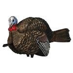 Avian-X LCD 1/2 Strut Jake Turkey Decoy