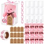 12 Sets Bear Baby Shower Party Favors Include 12 Pcs Mini Bear Plush Keychains 12 Pcs Kraft Thank You Tag 12 Pcs Clear Favor Boxes with Baby Shower Stickers and Single Face Ribbon (Pink)