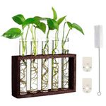 Plant Propagation Station,Ycoolle 5 Glass Test Tube Vase with Wooden Holder Wall Hanging Glass Plant Propagation Perfect for Home/Office/Garden Decor (Brown)