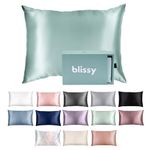 Blissy Silk Pillowcase - 100% Pure Mulberry Silk - 22 Momme 6A High-Grade Fibers - Silk Pillow Cover for Hair & Skin - Regular, Queen & King with Hidden Zipper (Standard, Mint)