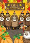 Toland Home Garden Turkey Photobomb 28 x 40 Inch Decorative Funny Happy Thanksgiving Bird House Flag