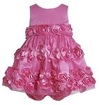 Bonnie Jean Baby Girls 3M-24M Flutter Die Cut Bonaz Rosette Mesh Overlay Dress, Fuchsia, 3-6 Months