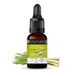 Soulflower Lemongrass Essential Oil for Hair Fall, Moisturising Skin, Face, Aromatherapy, Therapeutic Grade, Steam Distilled, Home Diffuser - 100% Pure, Natural & Undiluted Premium Essential Oil, 15ml