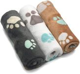 3 Pcs Puppy Blankets,23''x15'' Super Soft Warm Sleep Mat Cute Print Blanket Fleece Pet Blanket Flannel Throw Dog Blankets for Small Dogs Puppy Cats,Gray/White/Brown-Small