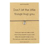 Don't Let The Little Things Bug You, Ladybird Charm Wish Bracelet