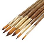 Silithus Paint Brushes 6 Pieces Set, Professional Fine Tip Paint Brush Set Round Pointed Tip Nylon Hair artist acrylic brush for Acrylic Watercolor Oil Painting (Round)