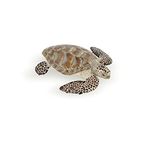 Papo 56005 "Loggerhead Turle" Figure