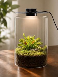 Smart Plant Terrarium with LED, Vent & Timer (H:9.8" D:5.9")