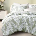 Codi Sage Green Comforter Set Queen