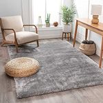 Carpets for Living Room Soft Fluffy Fur Shaggy Rugs for Living Room Decor 3x5 feet Small Carpet Silver Rug