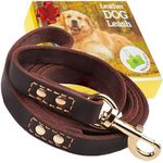 Heavy Duty Leather Dog Leash 6ft - Strong and Soft Leather Leash for Extra Large, Large and Medium Dogs - Dog Training Leashes (Brown - Gold Colored Clasp, L - 6 ft x 3/4 inch)