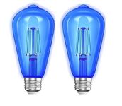 BASLASH Orab LED 4 Watts Blue Filament Edison Light Bulbs E27 Base for Home Decoration Indoor and Outdoor Use(4W, Pack of 2)