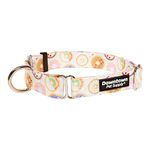 Downtown Pet Supply - Martingale Collar for Dogs - Dog Training Collar - Big, Wide & Thick Dog Collar - Escape-Proof, Weatherproof, Durable and Comfortable - Donut - Medium Dog Collar