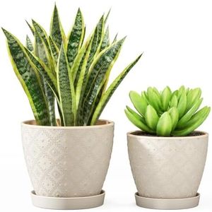 Docrin Pot