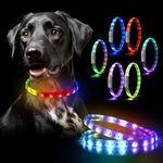 LED Dog Co