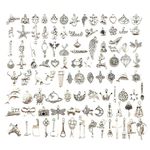 SYGA 100 Pieces Mixed Charms Pendant Charms Craft Supplies for Earrings Necklace Bracelet Jewellery DIY Making (Silver-001)