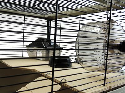 Little Friends Grosvenor Small Animal Cage, Grey