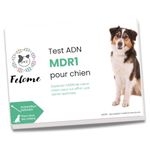 Felome MDR1 DNA Test for Dogs – Drug Sensitivity Test for Your Dog – Results in 2 Weeks – Puppies and Dogs Health Test