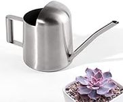 OFKPO 300 ML Mini Stainless Steel Watering Pot Can, Gardening Tool for Plant in Office Home Outdoor