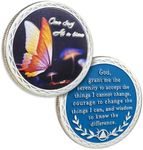 Butterfly Sobriety Chip One Day At 