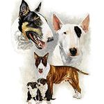 5D Diamond Painting Kit for Adults Kids Round Drill Pit Bull Terrier Dog 50x70cm DIY Diamond Painting Kits Full Drill Crystal Rhinestone Embroidery Cross Stitch Art Gift Home Wall Decor(20x28in)