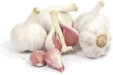 Organically Grown Music Garlic Bulbs LARGE FOR PLANTING (1/2 Lb)