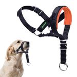 ILEPARK Dog Head Collar with Safety Strap, Head Harness for Dogs to Stop Pulling, Easy to Use, Adjustable & Reflective (M, Orange)