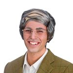 Wicked Costumes Adult Baldy Guy Comb Over Wig