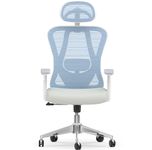 naspaluro Ergonomic Office Chair：High Back Desk Chair with 3D Adjustable Armrest and Headrest,2D Lumbar Support,135° Rocking Backrest,Mesh Computer Chair for Home Office,Study,Blue