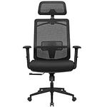 Furmax Ergonomic Office Chair, High