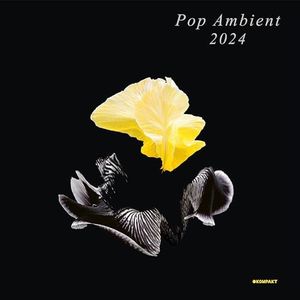 Pop Ambien