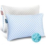 Nestl Bedding Coolest Pillow Heat and Moisture Reducing Ice Silk and Gel Infused Memory Foam Pillow. Adjustable, Washable, Breathable - Queen - 18ââ‚¬Â X 26ââ‚¬Â - 2 Pack