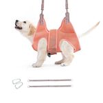 Potens' Pet Dog Grooming Hammock with Security Strap - Grooming Hammock for Small Dogs - Dog Holder for Nail Trimming - Dog Hanging Harness for Nail Trimming - Dog Sling for Nail Clipping