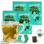 Woolah Rare Assam Green Tea with Mint, Organic BAGLESS Tea Dip (4 Packs= 60 Dips /120 Cups) 100% PLASTIC Free, REVITALIZING & REFRESHING, Natural EGCG anti-oxidants supports WEIGHT MANAGEMENT, Skin and HEART health