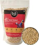 The Birds Company Premium Oats Seed Select, Fortified with Spirulina, Bird Food for Finches, Budgies, Conures, Lovebirds, Cockatiels, African Grey, Macaws, Cockatoo, 450 g