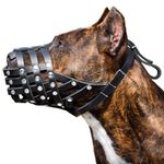 CleverTail Soft Leather Dog Muzzle for Pitbulls – Dog Muzzle for Large Dogs Pitbull – Large Breathable Pitbull Muzzle Anti Bite – Adjustable Basket Muzzle for Pitbull, Amstaff, Labrador etc. (L Size)