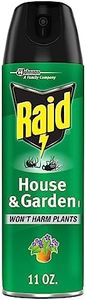 Raid House
