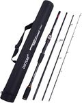 Saltwater Fishing Rods