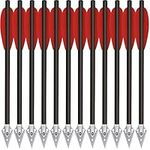 HUNTSPM 6.3" Carbon Pistol Crossbow Bolts,Mini Crossbow Arrows with Broadhead Tips Hunting Arrows for 50-80lbs Pistol Crossbow for Adults Target Practice Hunting Shooting Fishing (Red, 12pcs)