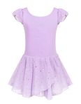 Arshiner Girls Ruffle Sleeve Skirted Leotard Ballet Dance Dresses Lilac